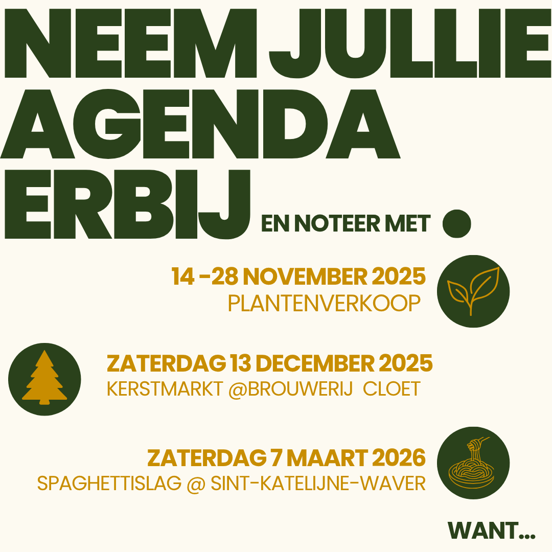 2026 n